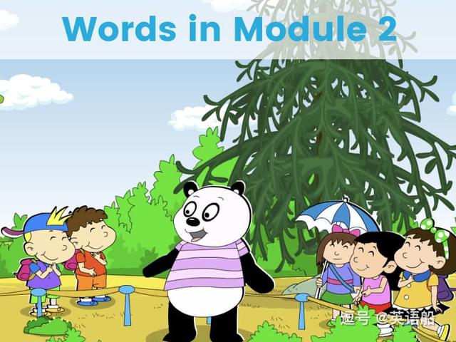 单词闪卡 Module 2 | 小学英语外研三起点三年级上册