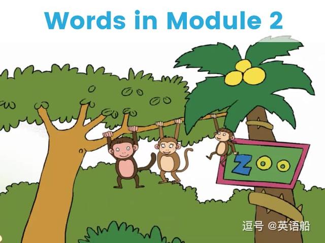 单词闪卡 Module 2 | 小学英语外研三起点三年级下册