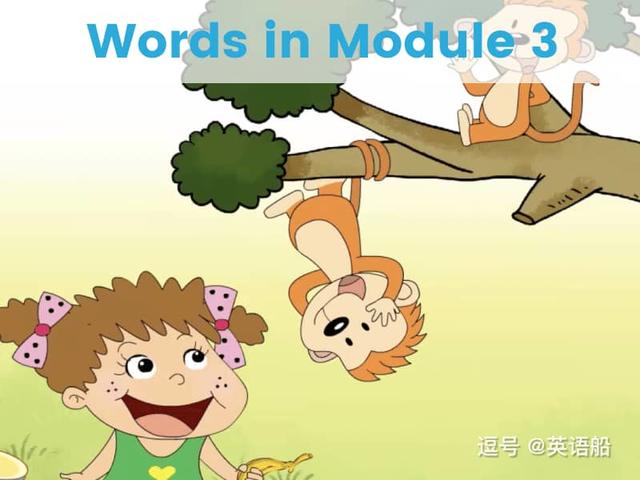 单词闪卡 Module 3 | 小学英语外研三起点三年级下册