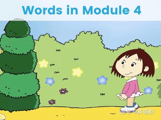单词闪卡 Module 4 | 小学英语外研三起点三年级下册