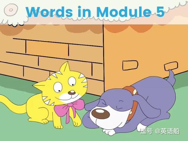 单词闪卡 Module 5 | 小学英语外研三起点三年级下册