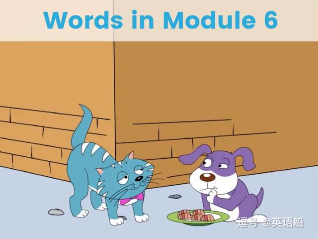 单词闪卡 Module 6 | 小学英语外研三起点三年级下册