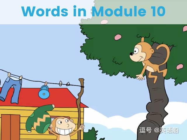 单词闪卡 Module 10 | 小学英语外研三起点三年级下册