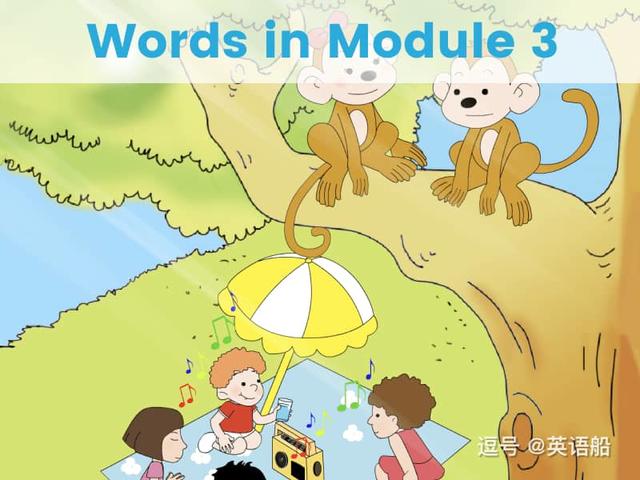 单词闪卡 Module 3 | 小学英语外研三起点四年级上册