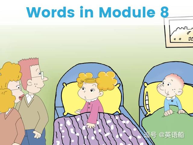 单词闪卡 Module 8 | 小学英语外研三起点四年级上册