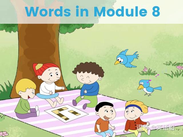 单词闪卡 Module 8 | 小学英语外研三起点四年级下册