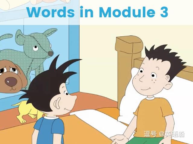 单词闪卡 Module 3 | 小学英语外研三起点六年级上册