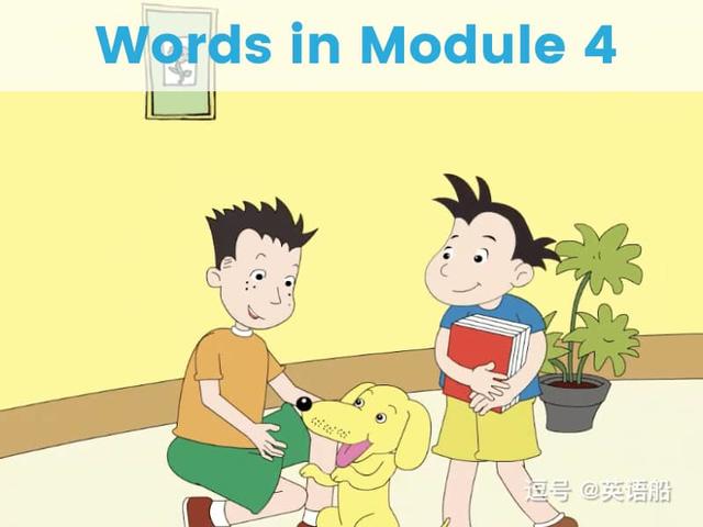 单词闪卡 Module 4 | 小学英语外研三起点六年级上册