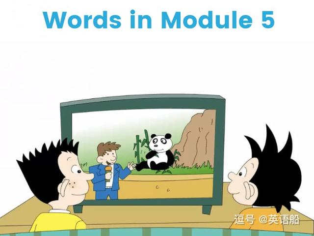 单词闪卡 Module 5 | 小学英语外研三起点六年级上册