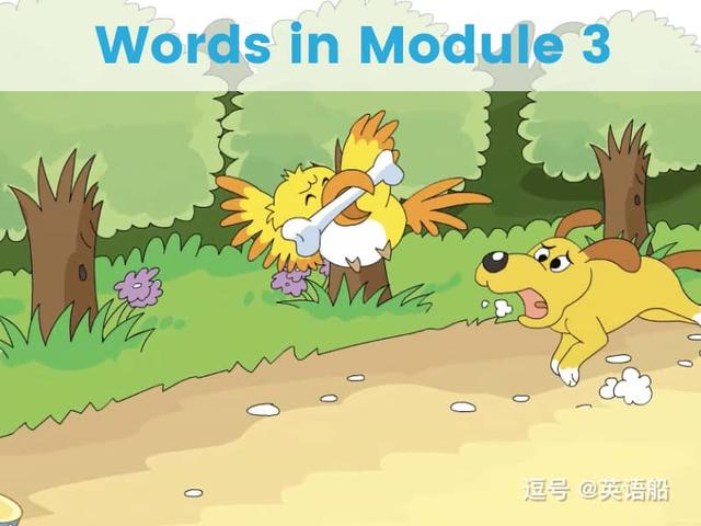 单词闪卡 Module 3 | 小学英语外研三起点六年级下册