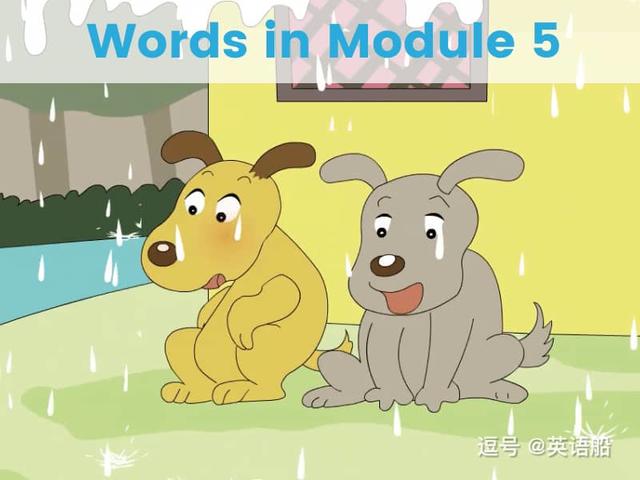 单词闪卡 Module 5 | 小学英语外研三起点六年级下册