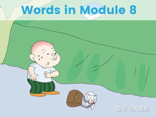 单词闪卡 Module 8 | 小学英语外研三起点六年级下册