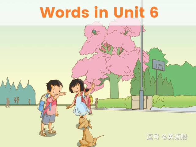 单词闪卡 Unit 6 | 小学英语人教新起点一年级下册
