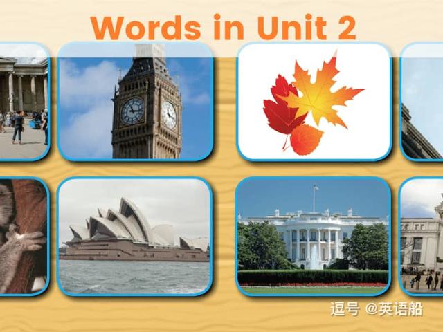 单词闪卡 Unit 2 | 小学英语人教新起点六年级上册